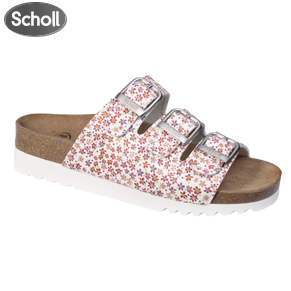 Scholl Rio WG AD