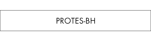 protes-bh