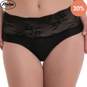 Anita Essential High Waist Lace Briefs