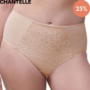 Chantelle Maris High Waisted Support Full Brief