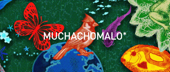 Muchachomalo 20%