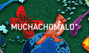 Muchachomalo 20%