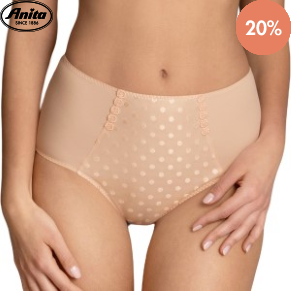 Anita Airita High Waist Brief Plus
