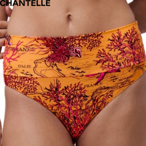 Chantelle Icon Light Mediterranean