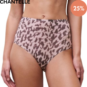 Chantelle Soft Stretch Panties