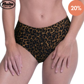 Anita Essentials High Waist Brief