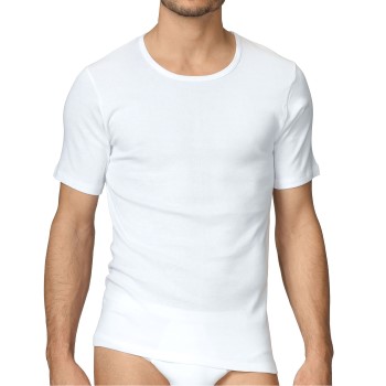 Calida Cotton 1 T-Shirt 14310