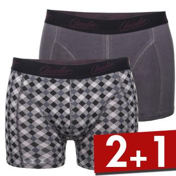 Claudio 2 stuks Mens Trunk