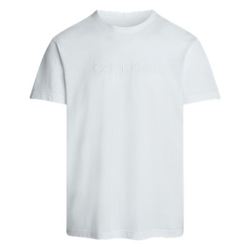 Calvin Klein Logo Cotton Tee