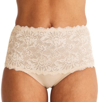 Swegmark Support Maxi Briefs