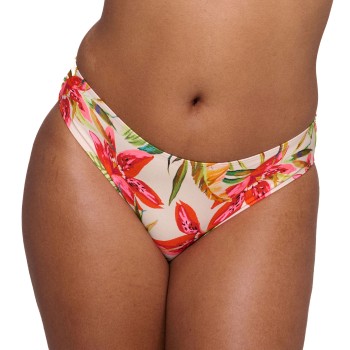 PrimaDonna Tanzania Bikini Rio Briefs afbeelding