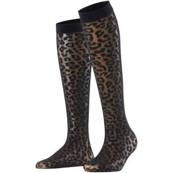 Falke KGaA Falke Wild Breed 20 DEN Women