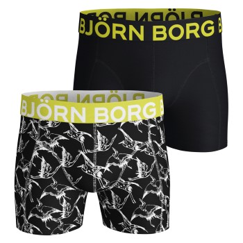 Björn Borg 2-pack Cotton Stretch Core Shorts 212