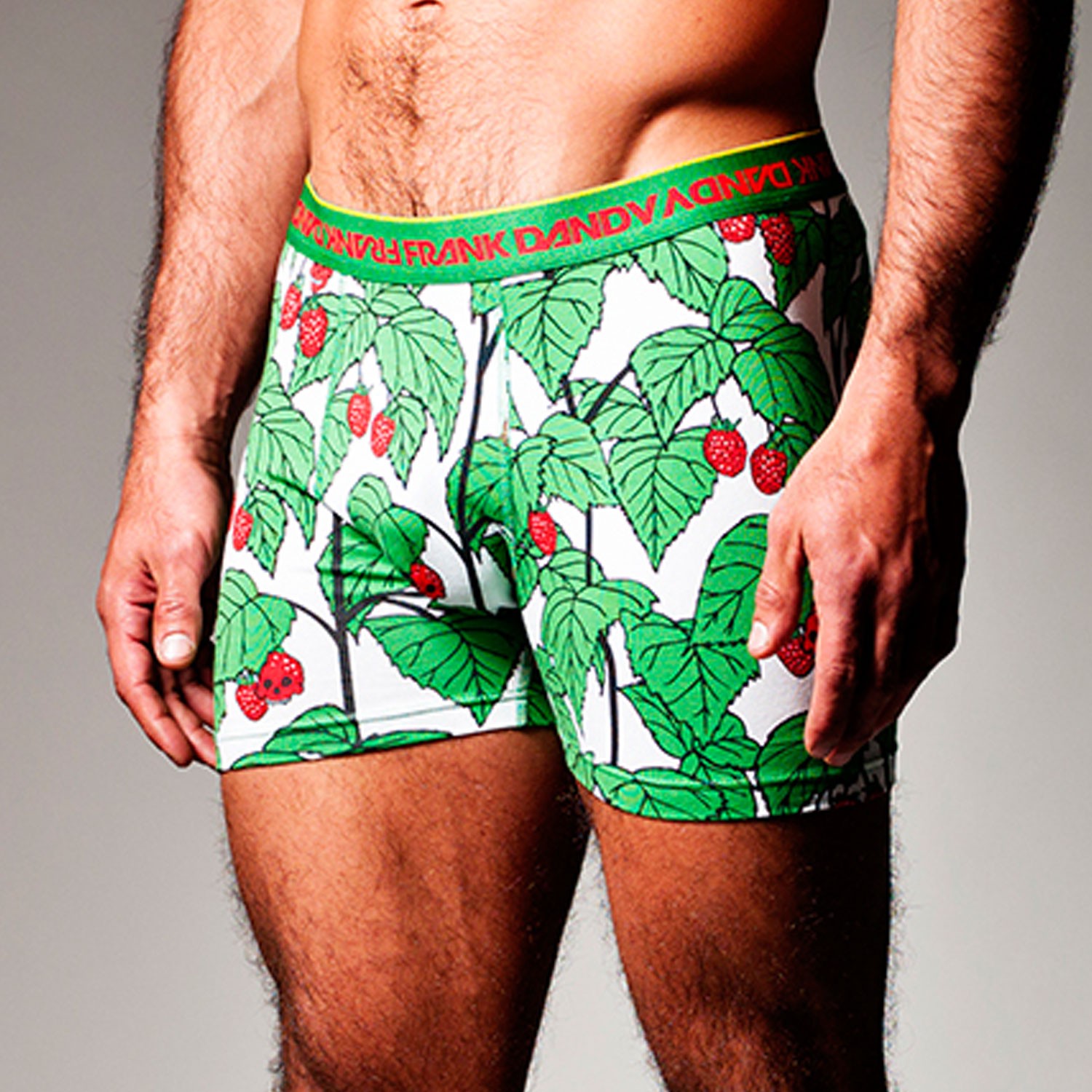 Frank Dandy Skullberry Boxer