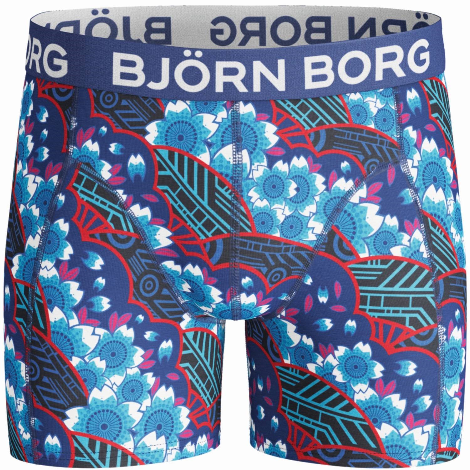Björn Borg Cyber Garden Shorts For Boys