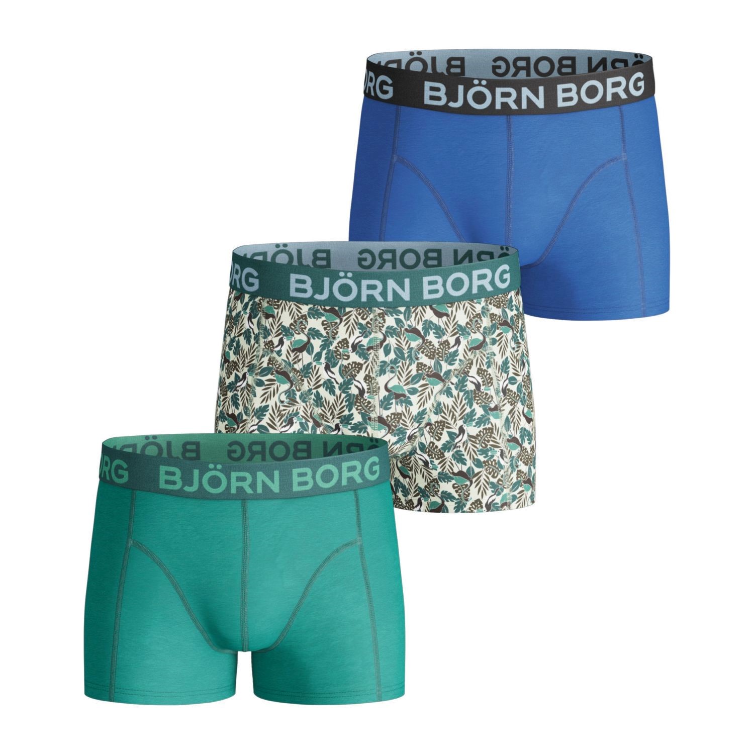 Björn Borg Flamingo Shorts For Boys