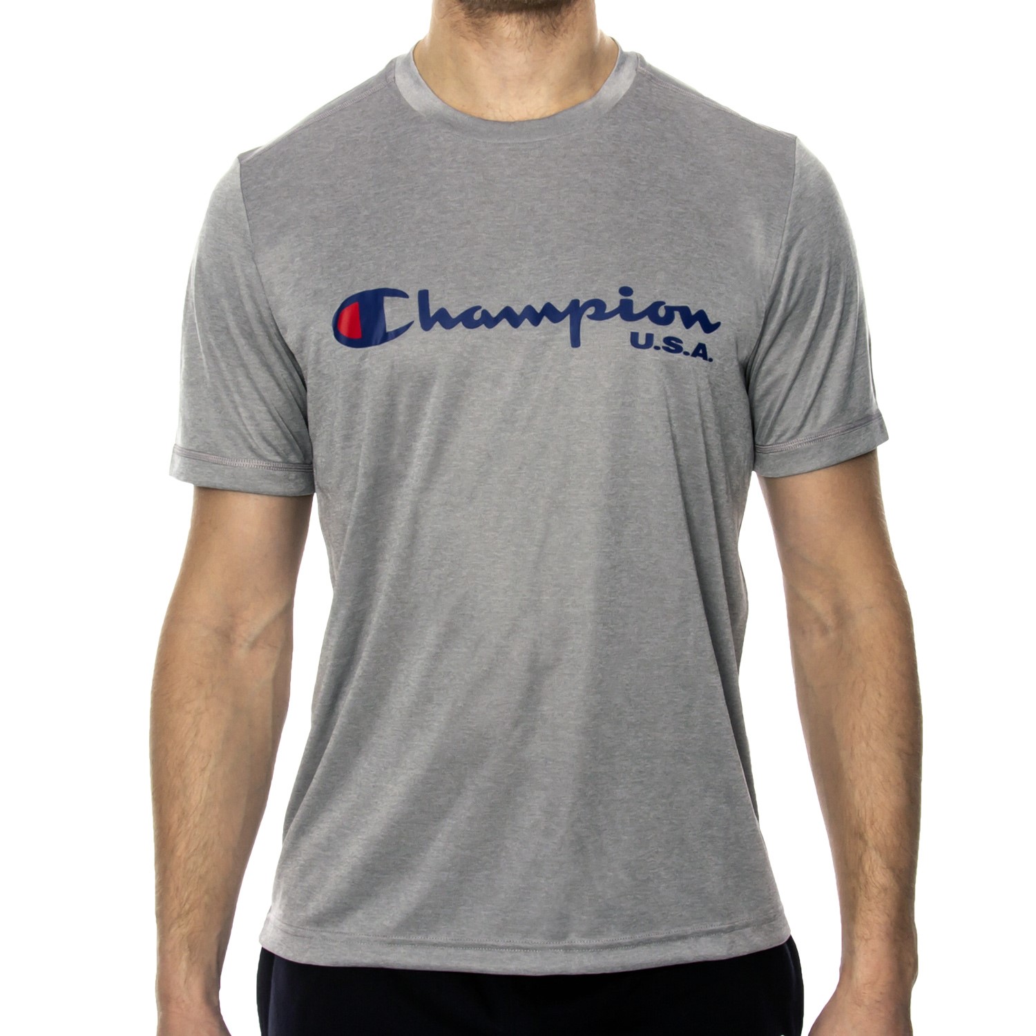Champion Institutionals Crewneck T-shirt Big Logo