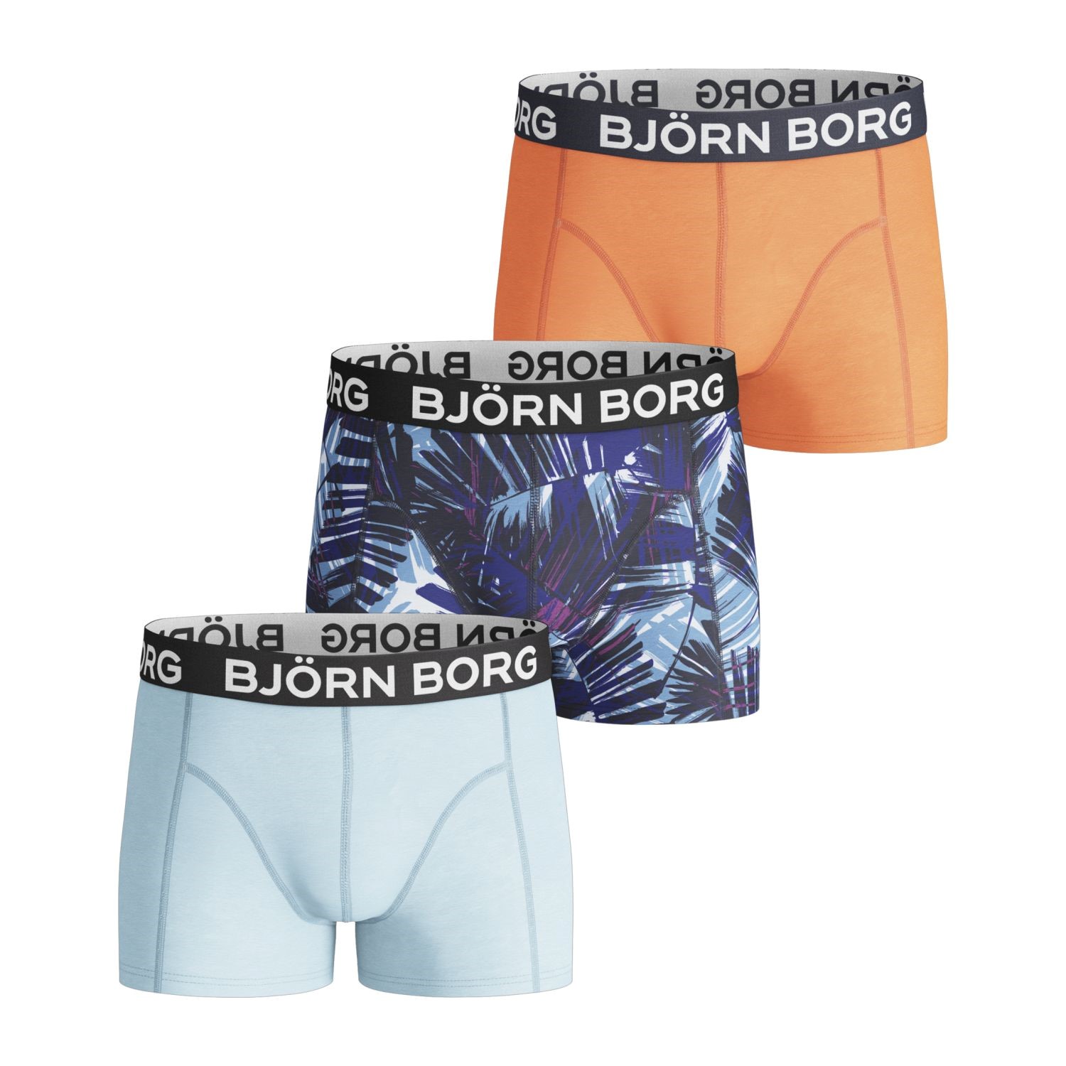 Björn Borg Summer Palm Shorts For Boys 