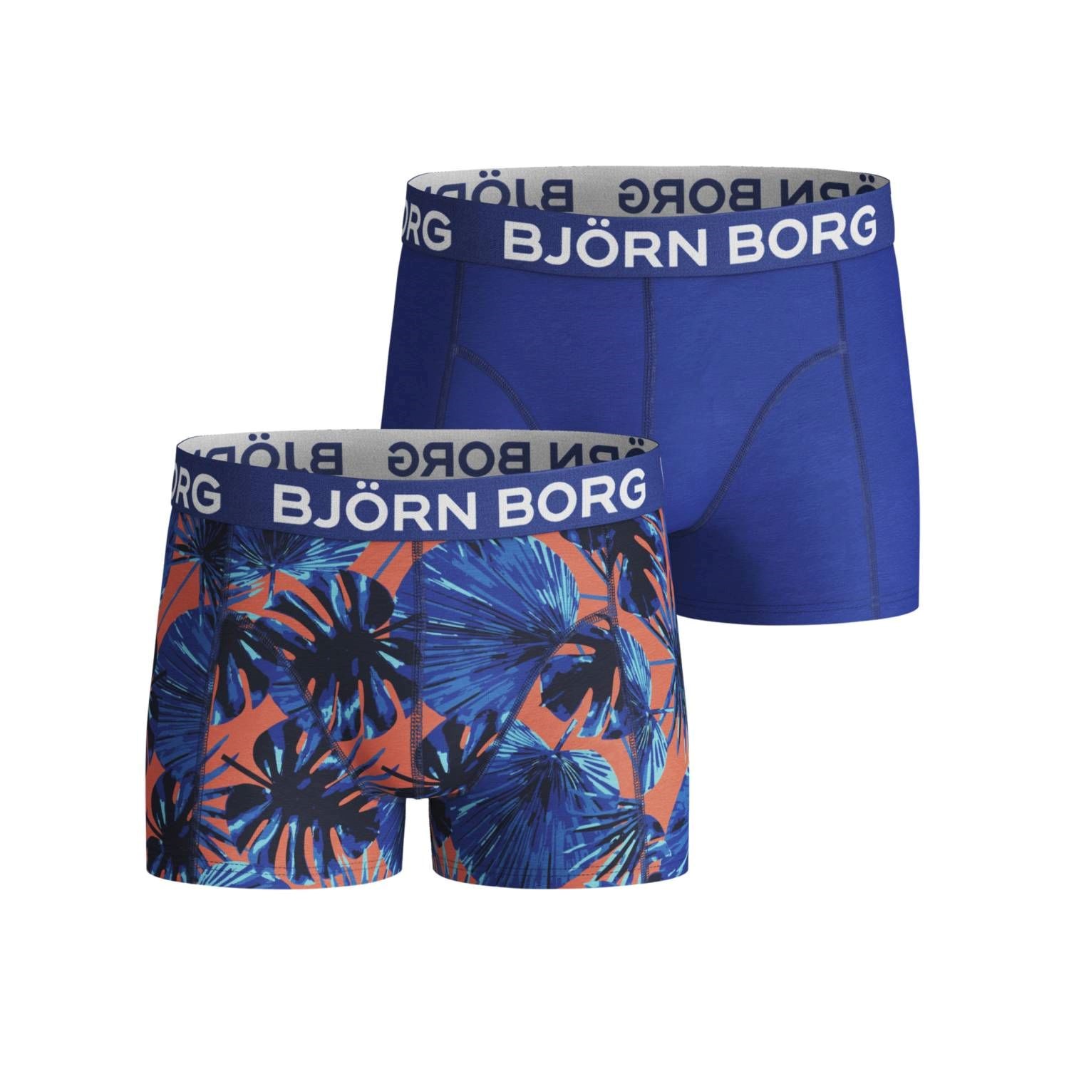 Björn Borg Garden Shorts For Boys