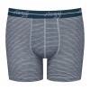 Greystriped