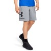 Under Armour Sportstyle Cotton Graphic Shorts