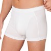 Schiesser 95-5 Organic Cotton Shorts