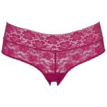 Triumph Lace Hipster 15