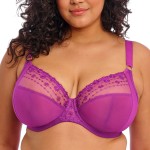 Elomi Matilda Underwired Plunge Bra 