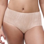 Chantelle Soft Stretch Panties