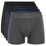 5-Pakkaus Resteröds Gunnar Bamboo Boxer