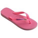 Havaianas Brasil Logo