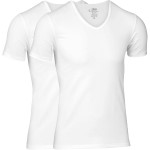 2-Pakuj JBS Bamboo T-shirt V-Neck