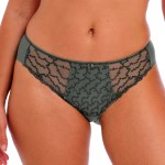 Fantasie Ana Brief