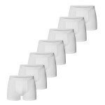 7-Pacote Bread and Boxers Organic Cotton Strecth Boxer