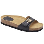 Scholl Nina