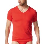 Bruno Banani Check Line 2 0 V-Shirt