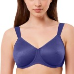 Triumph Essential Minimizer T W X 