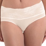 Anita Essential High Waist Lace Briefs