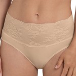 Anita Essential High Waist Lace Briefs