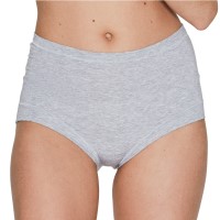 JBS of Denmark Bamboo Maxi Brief