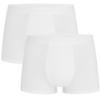 2-Pakuotė Stedman Dexter Boxer For Men
