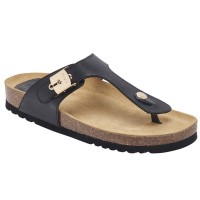 Scholl Maya 