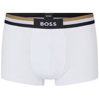 BOSS Trunk Motion