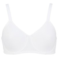 Damella June Underwire Bra