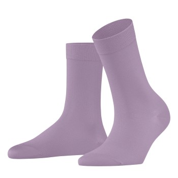3-Pak Falke Women Cotton Touch