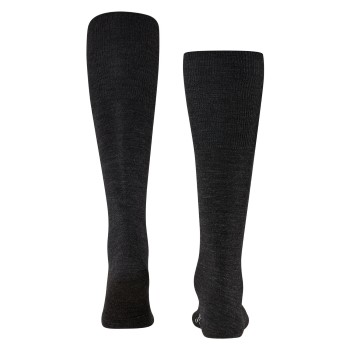 Falke Airport Knee-high