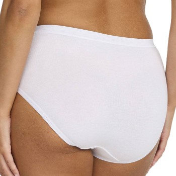 Damella Brief 17860 Midi
