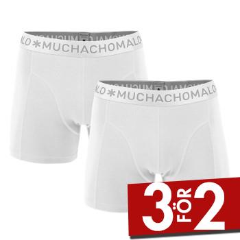 Muchachomalo Kalsonger 2P Cotton Stretch Basic Boxers Vit bomull Small Herr