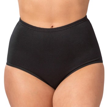 Trofe High Maxi Briefs