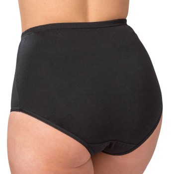Trofe High Maxi Briefs